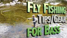 Fly Fishing Bass Tips, Techniques and Gear