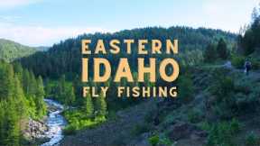 Its the best side of the Tetons? Successful Spring Fly Fishing Eastern Idaho