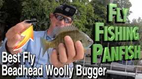 How to Fly Fish for Panfish | Best Bluegill Fly: Beadhead Woolly Bugger | Tips & Techniques
