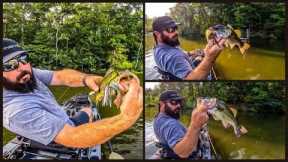 Chickamauga Lake Fishing with the Berkley Slobberknocker - Ultimate Bass Adventure!