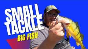 Light Tackle = Big Fish! Fishing Multi Species