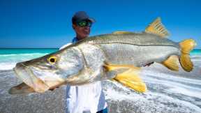 Florida's FORBIDDEN Fish... Catch Clean Cook ( Florida Mullet Run Snook)