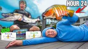 24 HOUR MONSTER FISH CATCHING CHALLENGE!