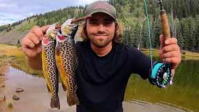 Off-Roading to New Lakes in the Mountains for Tiger Trout!! - Fly Fishing Catch & Cook