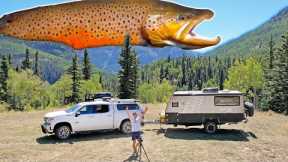 Remote River Camp Set Up & Trout Fishing!