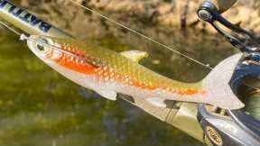 Making a Finesse Minnow FlatSided JerkBait