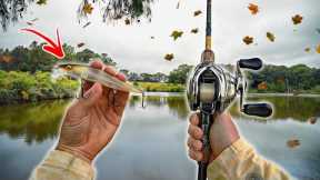 The BEST Fishing Lures For The FALL Transition (New Pond)