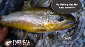 Fly Fishing Tips for Late Summer