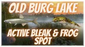 Russian Fishing 4 Active Bleak & Frog Spot Old Burg Lake