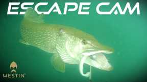 Escape Cam | Westin Fishing
