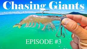 This Bait Just CATCHES! (Chasing Giants Ep #3)