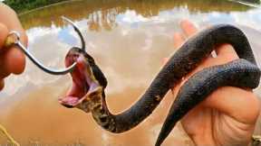 Deadly Snakes for Bait Catch Monster Fish