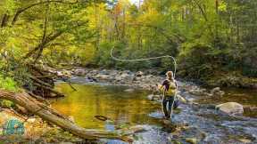 Fly Fishing for a Trout you have to see to believe!! (Fall Trout Fishing)