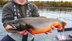 Fall Trout Fishing on Lake Superior (These Fish are GORGEOUS!)- Homemade Venison Stew