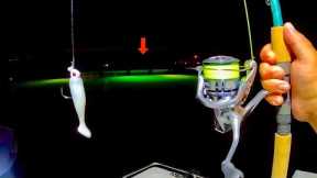 THIS is the Dock Light Fish I Wanted...[Catch, Clean, Cook]