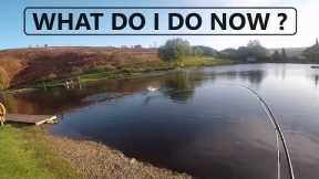 206. Don't Count Your Trout Until You Net Them - Fly Fishing UK