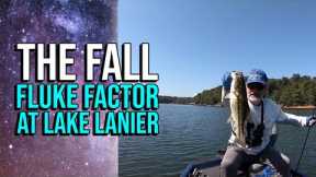 The Fall Fluke Factor At Lake Lanier #lakelanierfishing2023  #fishing