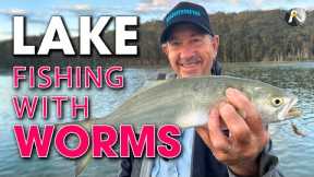 Lake Fishing STRATEGY with Beach Worms - An AWESOME Bait!