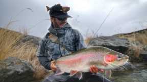 Fly Fishing Mega Trout on Worlds Best Trophy Trout River!