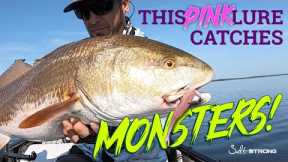 THIS Lure Reels In Monsters! (#1 Lure Color For Fall Giants)