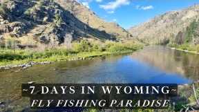 Wyoming is a Fly Fishing Paradise - I'll show you 3 amazing wild trout streams!