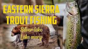 Nonstop Lure action at Lake Mary | Trout Fishing at Silver lake during the storm | Eastern Sierra