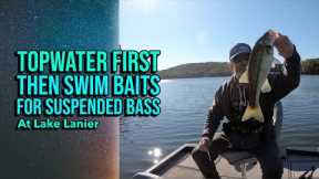 Topwater First, Then Swim Baits For Suspended Bass At Lake Lanier #lakelanierfishing2023