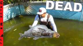 MY BIGGEST PET DIED in POOL POND while Fishing with ALLIGATORS!