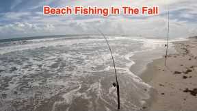 #1 Beach Fishing Spot [Case Study]