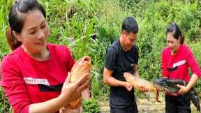 Catching Giant Fish in the Stream - The Amazing Adventure of Ly Tieu Trang's Family