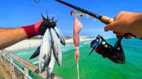 Pier Fishing n' Cooking Whatever We Catch (Squid, Shark, Mackerel n' More)