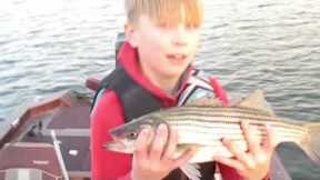 2023 Lake Murray striper fishing!