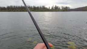 FISHING A LOCAL LAKE IN NOVEMBER #fishing #trending #viral #wading