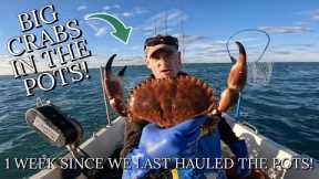 BIG CRABS! - Hauling & Re-Setting My Lobster & Crab Fishing Gear In Strong Sea Currents!