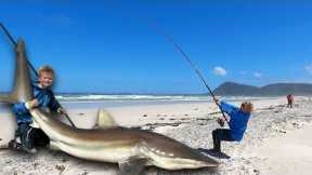 Kid catch and release massive Shark from the beach! 11 Year old did a great  job landing this Shark!