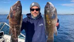 LIGHTS OUT Tautog (Blackfish) Fishing | Entire Fish Catch Clean Cook