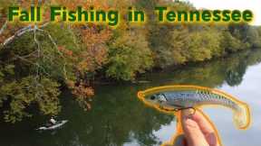 Fall River Fishing for BIG Smallies