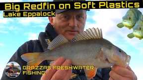 Fishing for Redfin Perch with Soft Plastics | Lake Eppalock