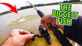 How to catch the biggest fish in the lake.