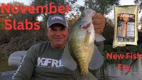 Beautiful November Crappie / Sac-a-lait (Catch * Clean * Cook) Frying Fish W/ My New KFRED Fish Fry
