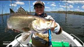 Lake Monduran Barra Fishing October 2023