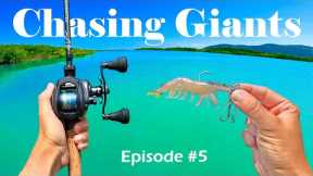 I Had 27 Days to Catch a Giant. (Chasing Giants Ep #5)