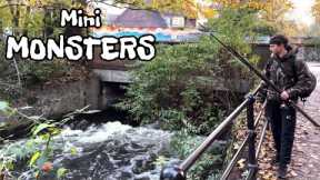 CATCHING mini MONSTERS from a LONDON river