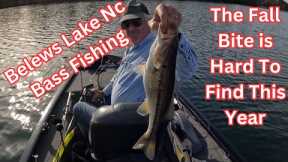 Belews Lake NC Fall Bass Fishing.  Nov 2023