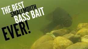 The Best Smallmouth Bass Bait Ever! #shorts