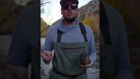 How to Pick the Right Fly (Without ANY Bug Knowledge) - Fly Fishing Tip of the Week