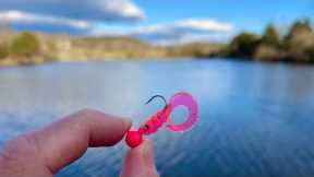 THIS Tiny Lure is a Fish Catching Machine! (pond fishing)