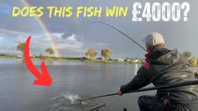 FISHING LIVE - THE FINAL!!!! - CAN WE WIN £4000 TOP PRIZE?