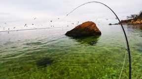 Crystal Clear Water Filled With Fish! Fly Fishing the Beach!