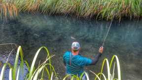 NEW ZEALAND FLY FISHING AT IT'S BEST!!